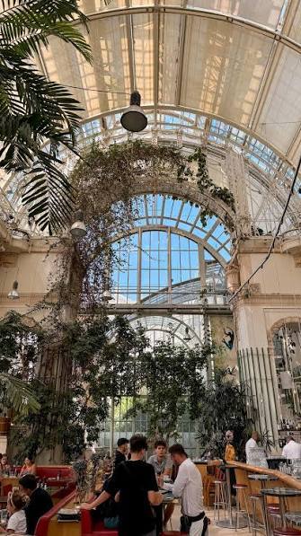 Brasserie Palmenhaus