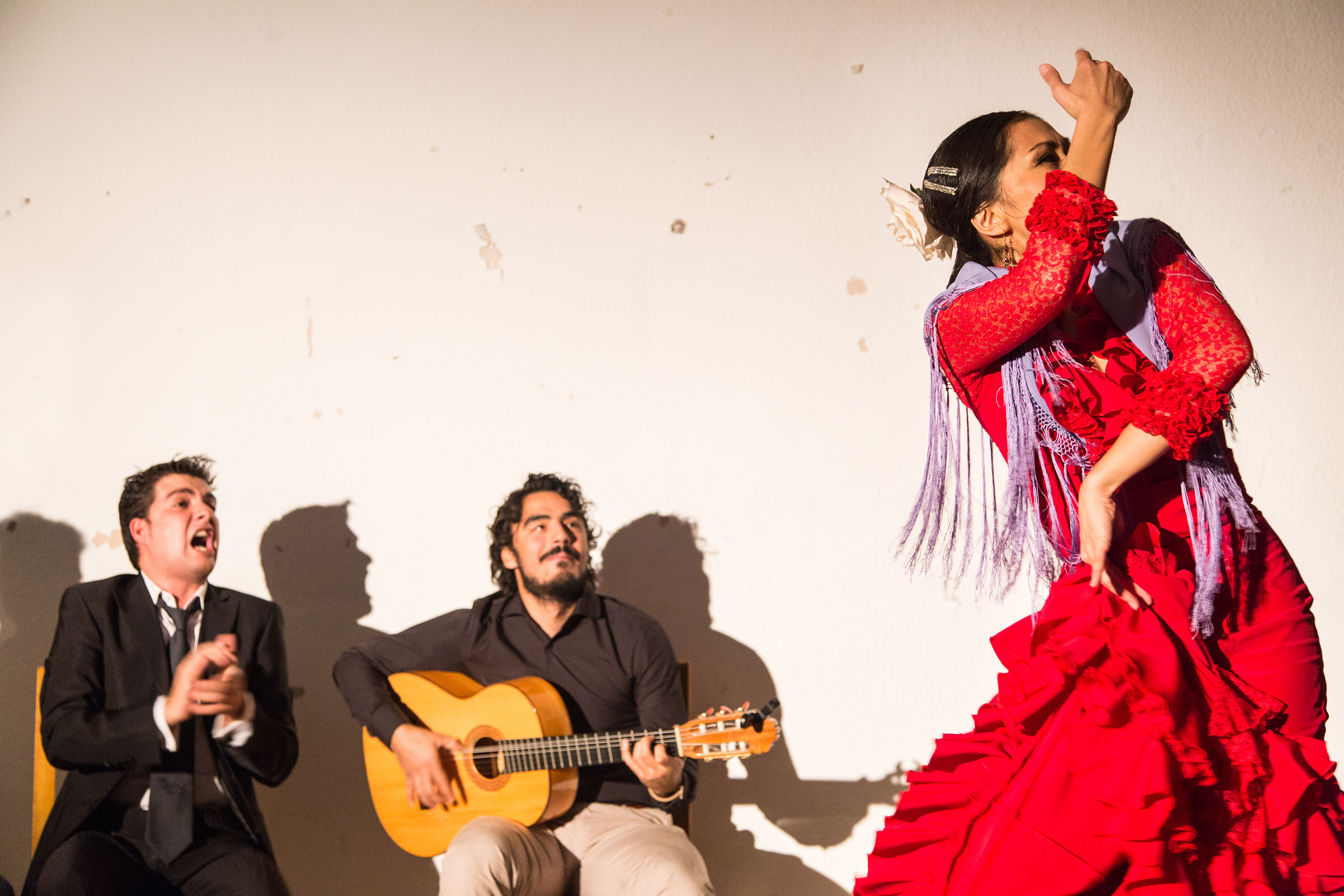 Show & Events Tours