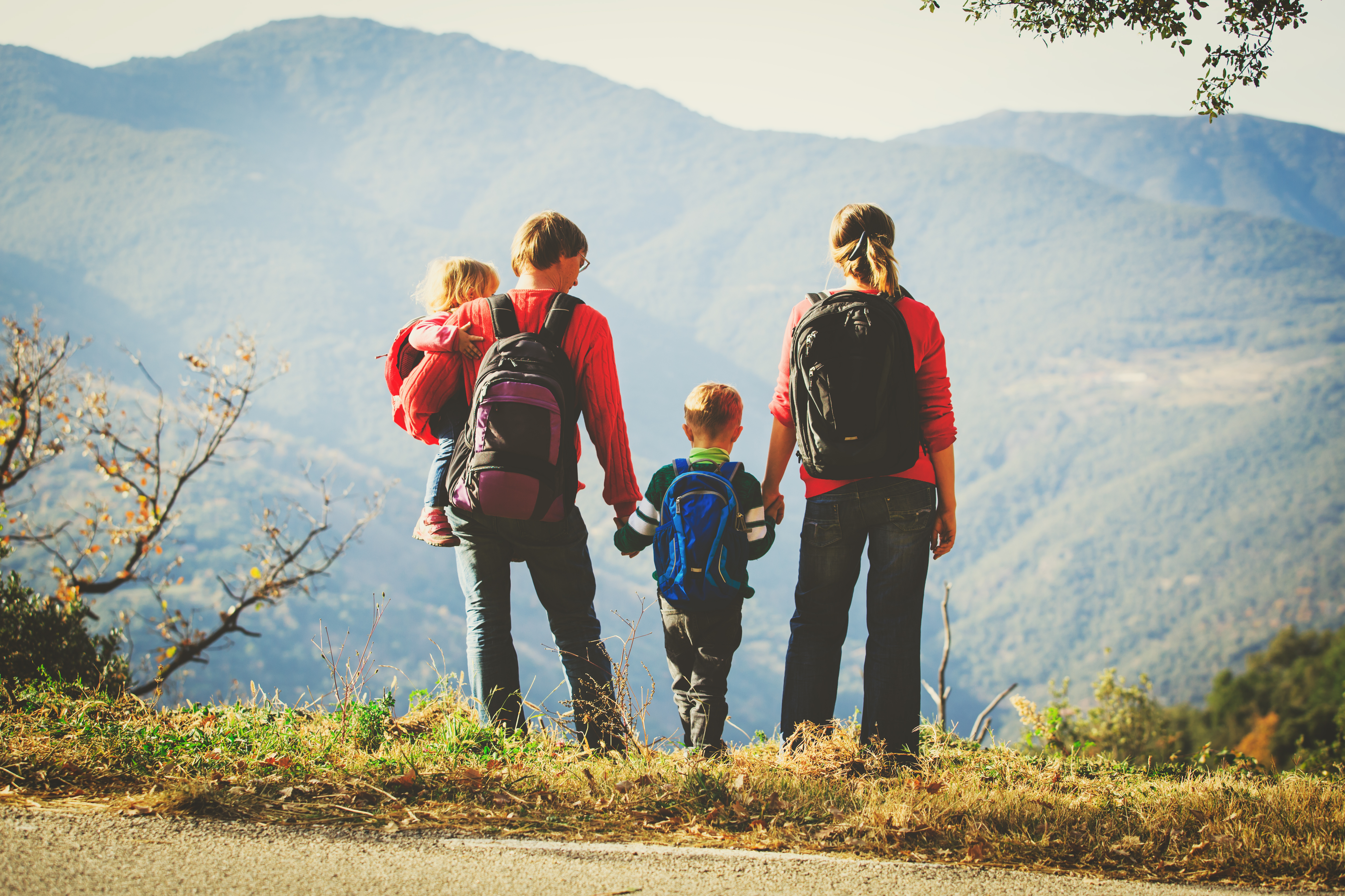 Day Trip tours