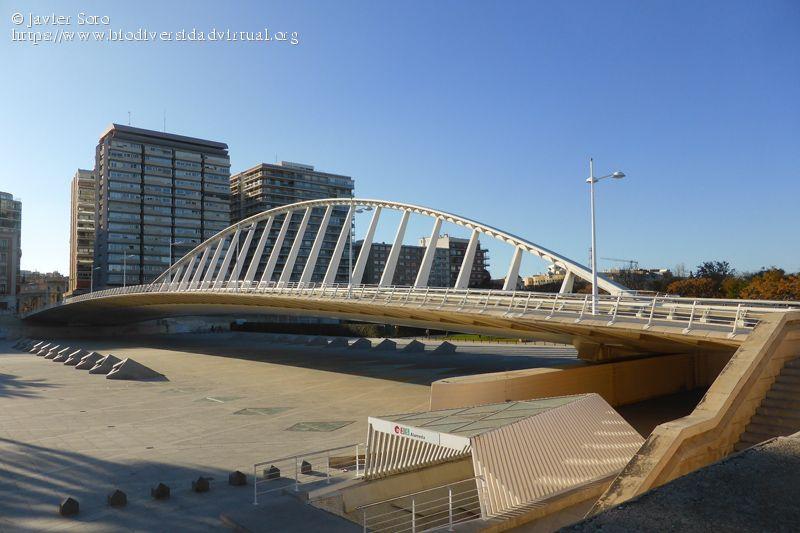 Puente de la Exposición