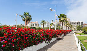 Puente de las Flores