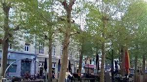 Vieux Marché aux Grains - the place where grains were sold