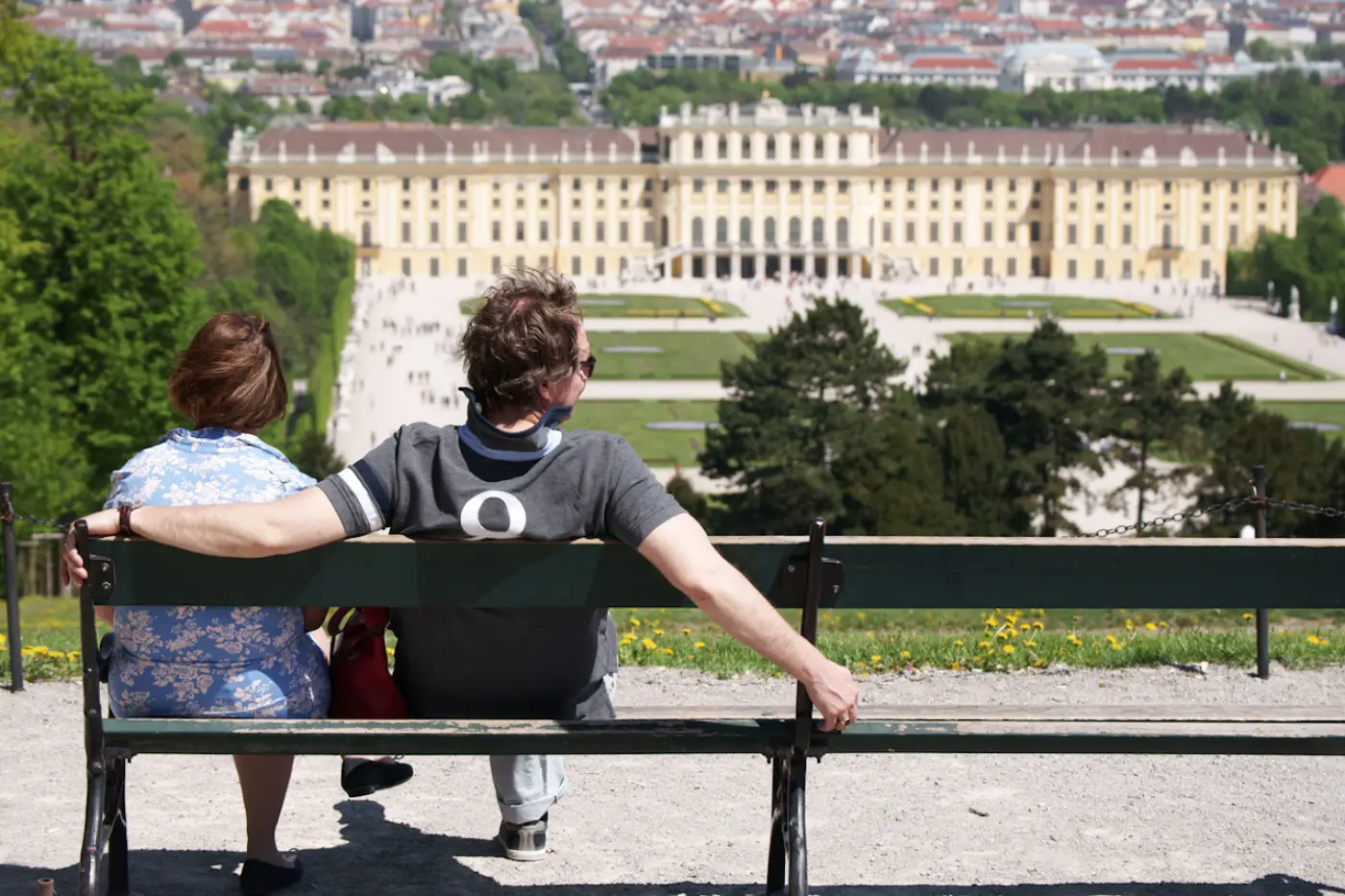 Vienna Private Full Day Tour – Tickets to Schönbrunn Palace &amp; Lunch — photo 3