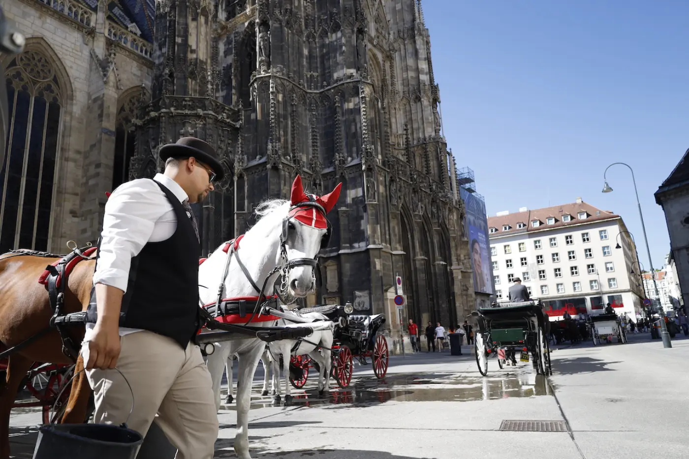 Tour Privato di Tesori e Segreti di Vienna: Chiese, Palazzi e Torta Sacher - Tour Locale Cool — photo 4