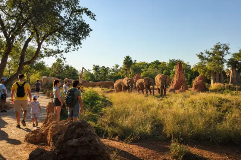Bioparc Valencia