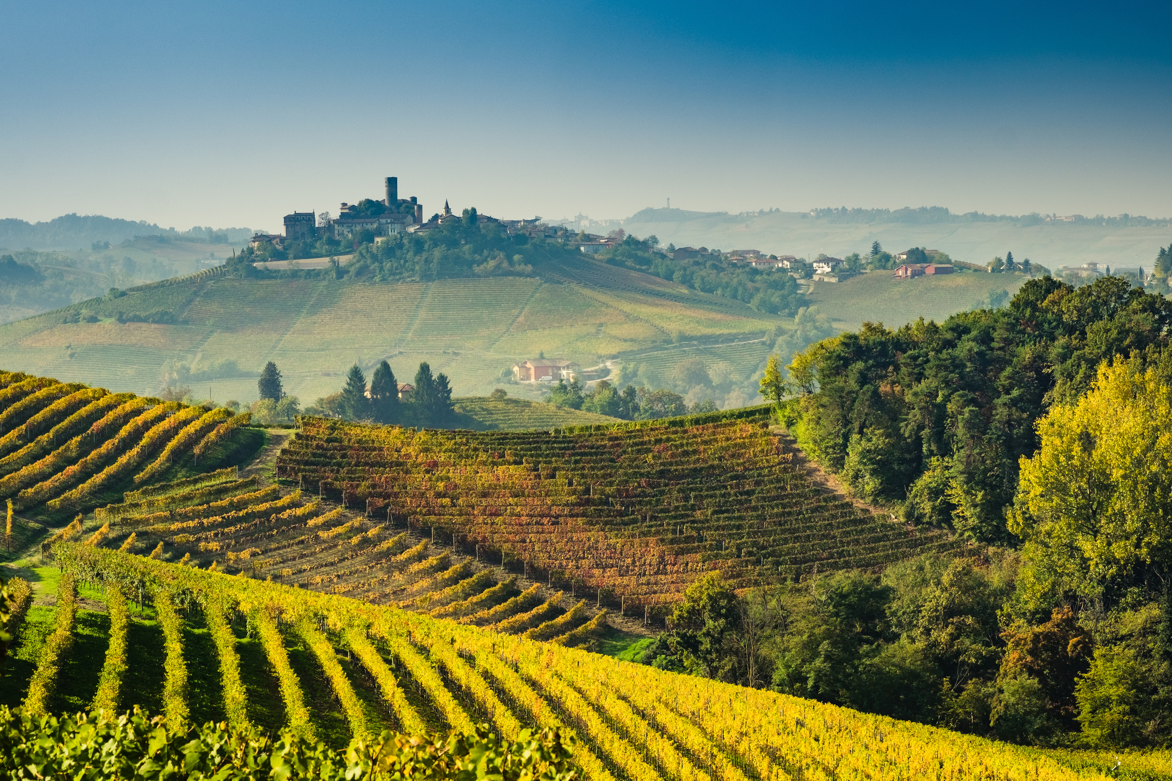 Visite des vignobles, de la cave et des anciennes grottes avec dégustation