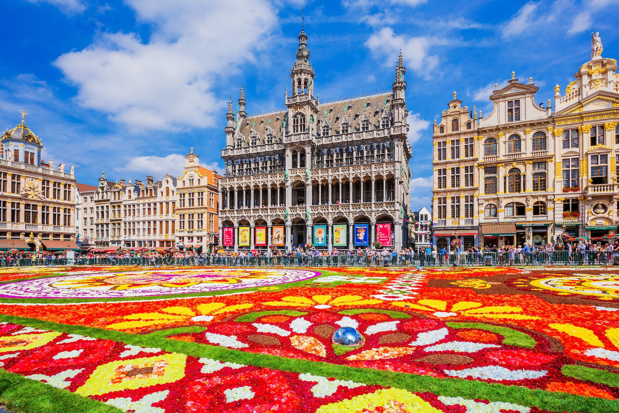 Magnifique Grand Place