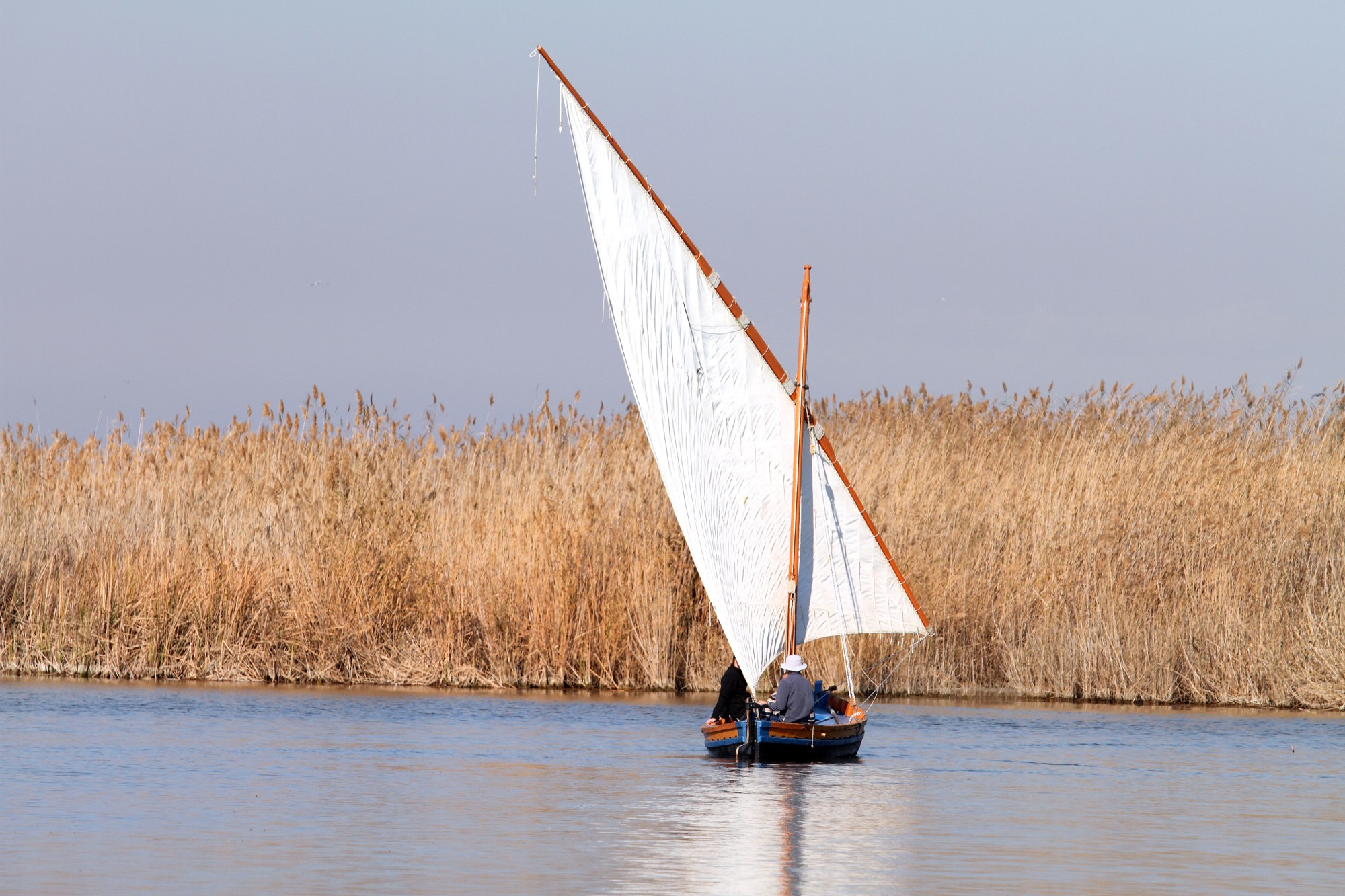 Boat ride en Pantano de Albufera