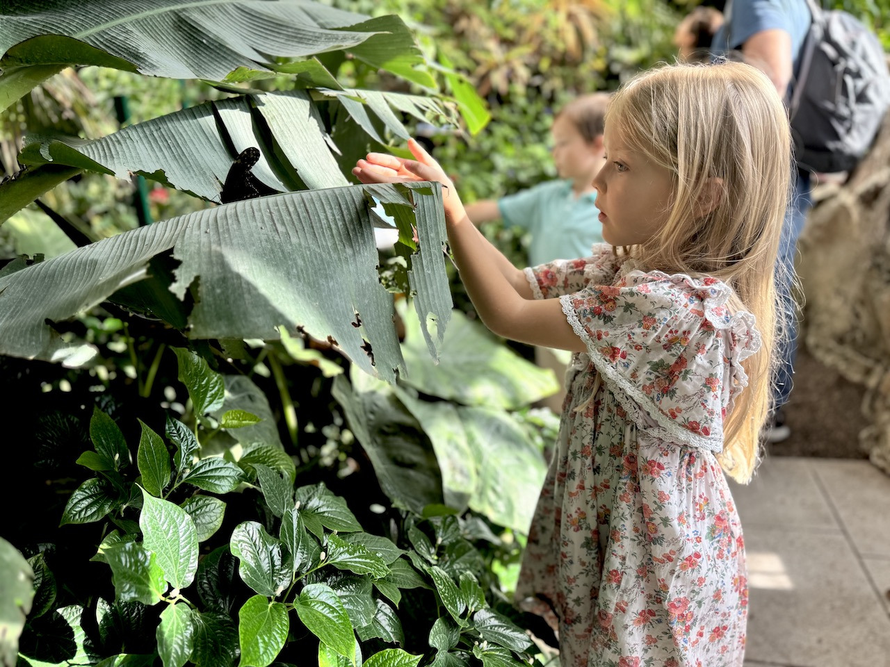 Vienna Private Family Tour
