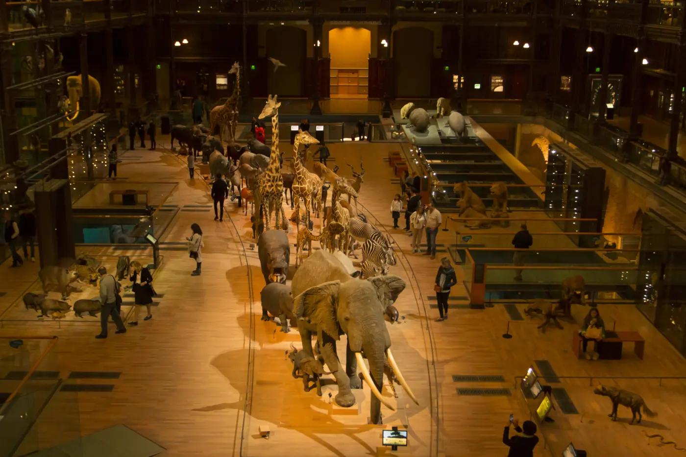 Tour privado para familias en París - Destacados, pastelería y el mejor museo para niños - Tour local interesante — photo 3