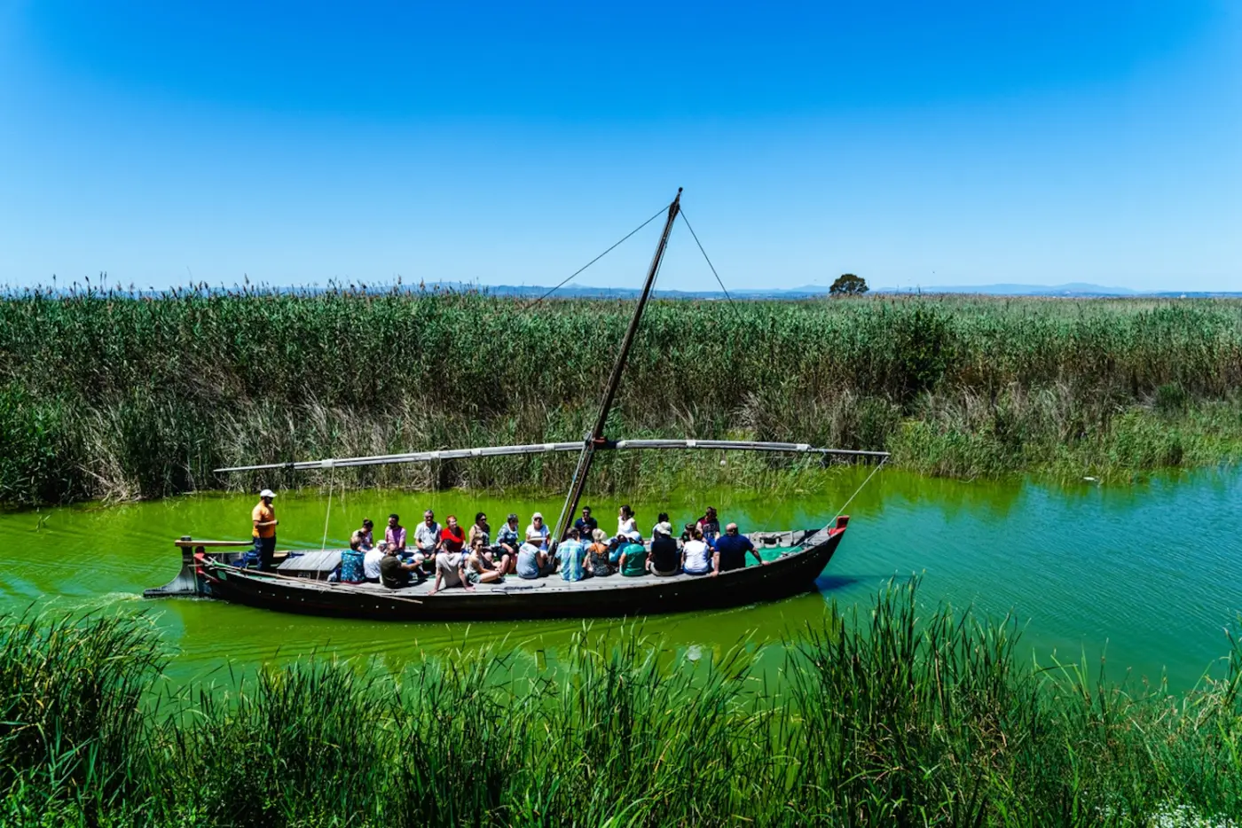 Private Albufera Day Trip: Paella, Boat Ride and Nature Trek — photo 3