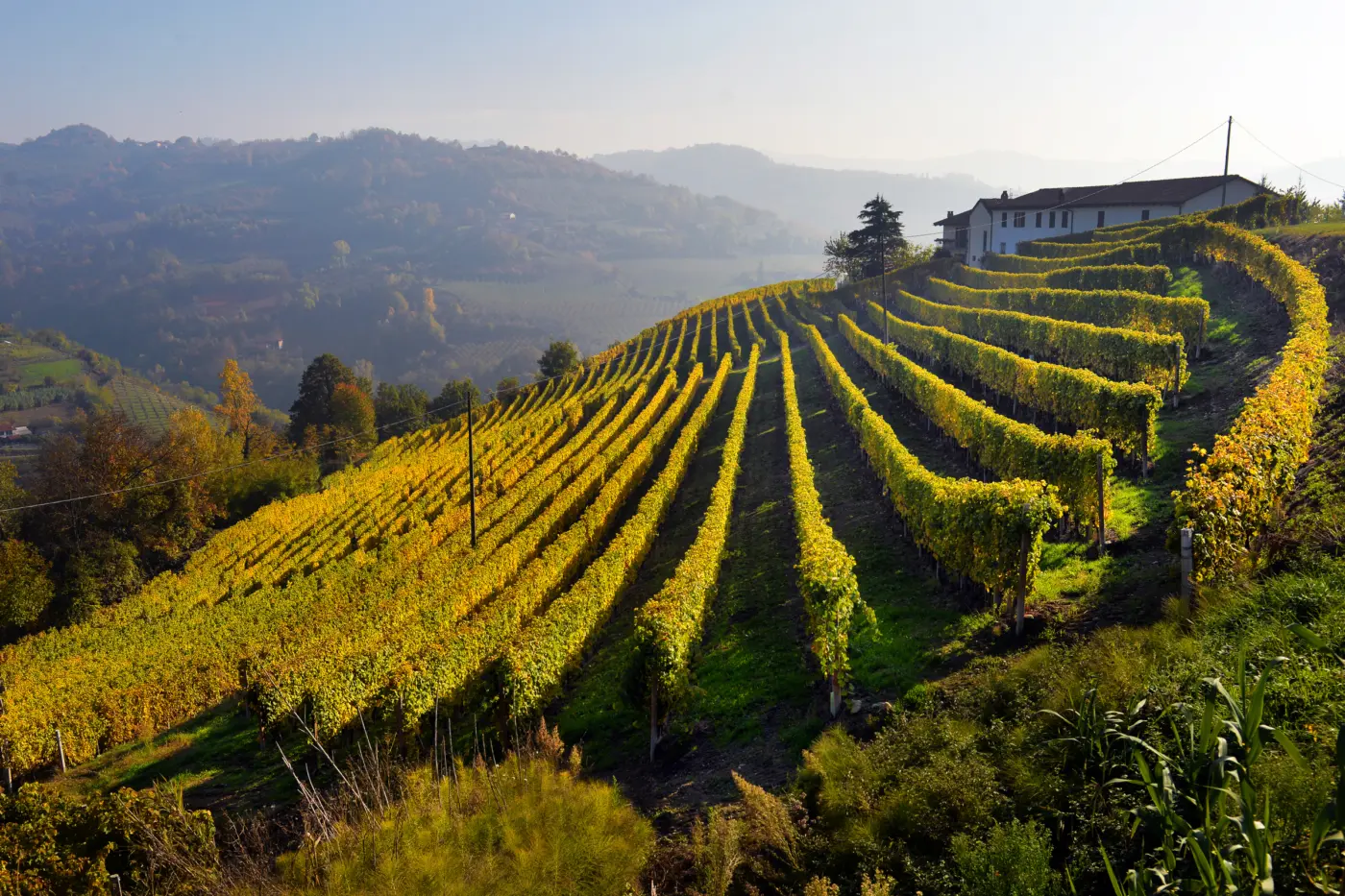Rome: Excursion privée à Frascati - Visite de la ville, déjeuner et dégustation de vin — photo 5