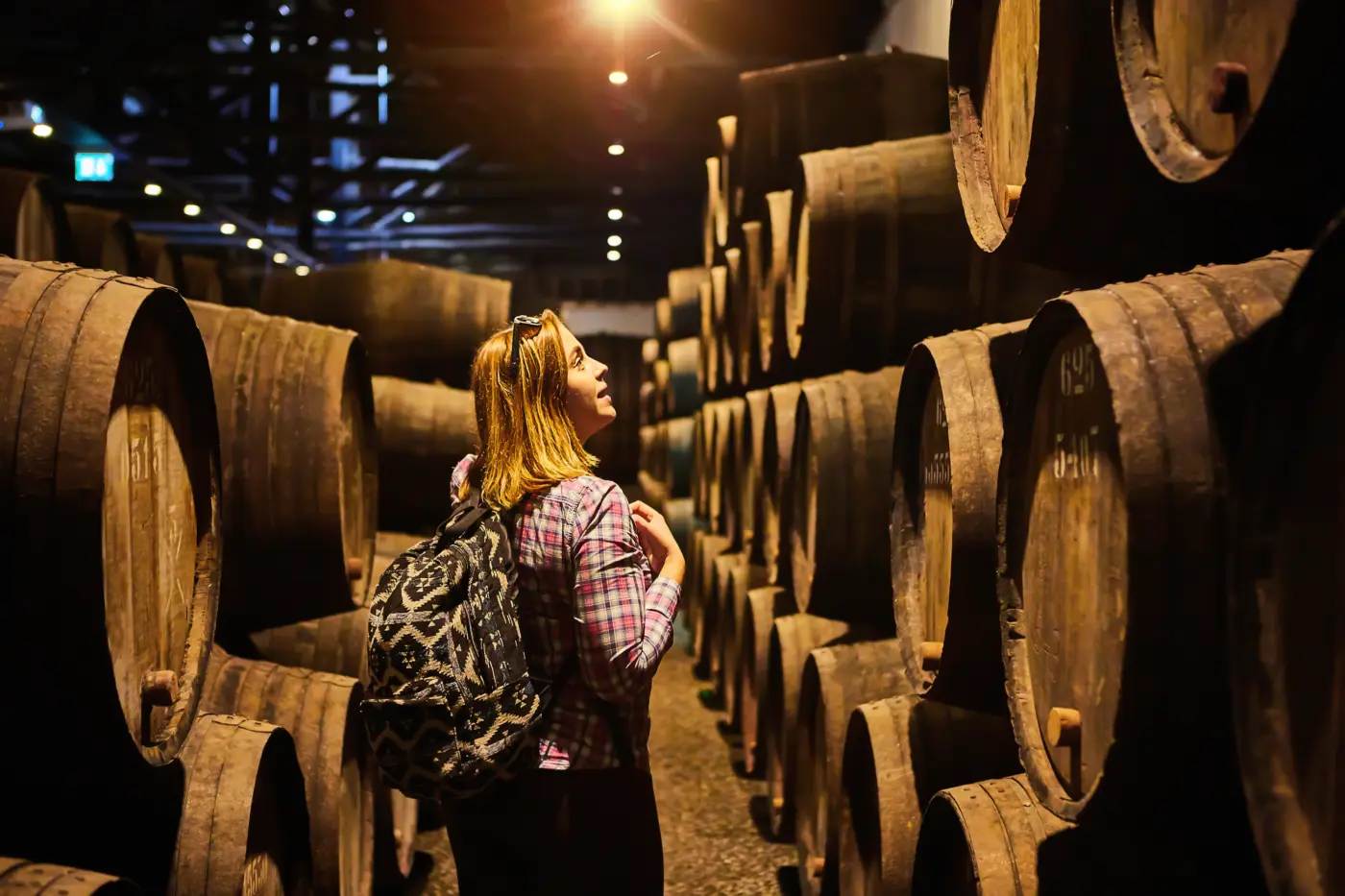 Rome: Excursion privée à Frascati - Visite de la ville, déjeuner et dégustation de vin — photo 2