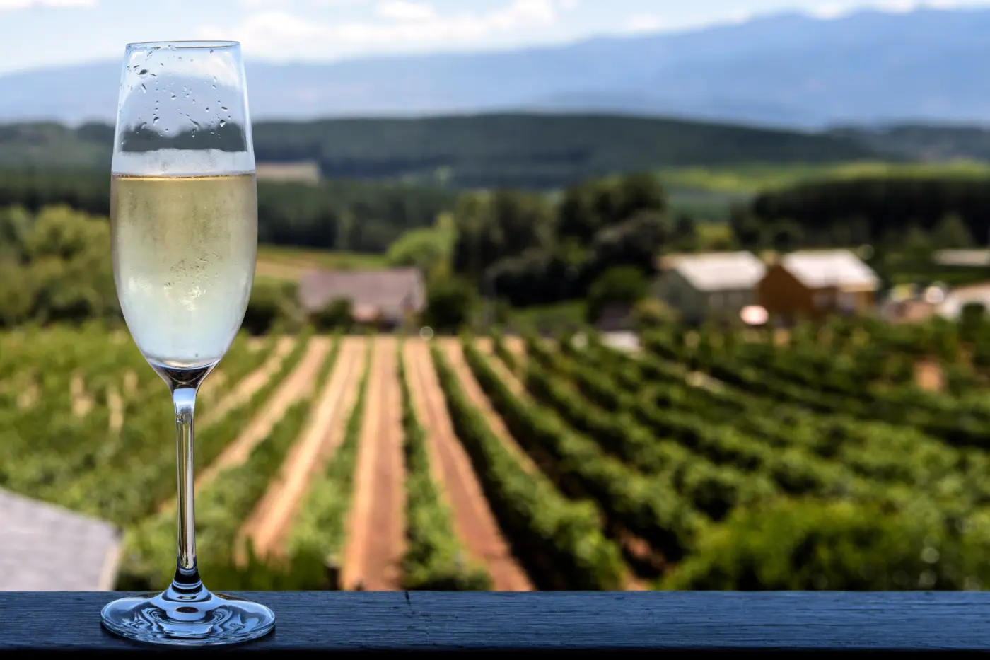 Excursão privada de um dia a desde Paris - Vinhedos de Reims - Tour de Champagne + Almoço francês — photo 3