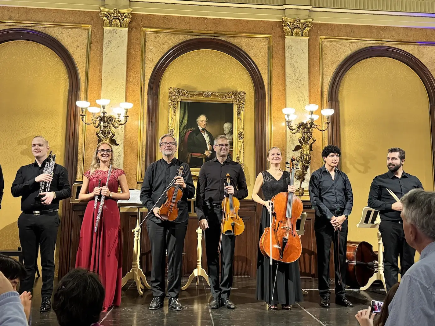 Tour privado de música clásica en Viena: entrada al museo y concierto