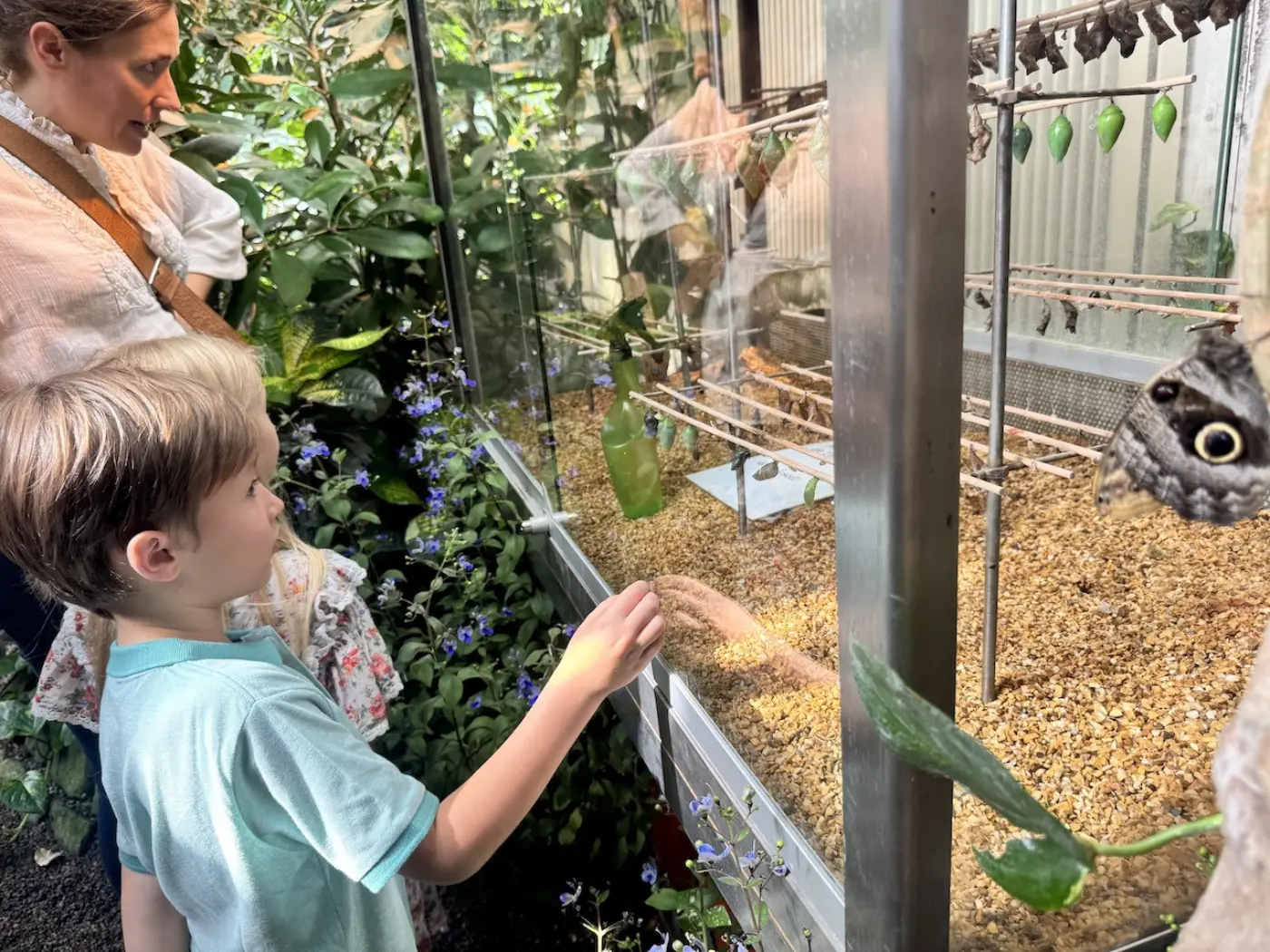 Tour Privato per Famiglie a Vienna: Luoghi di Interesse, Museo &amp; Torta - Tour Locale Fantastico — photo 4